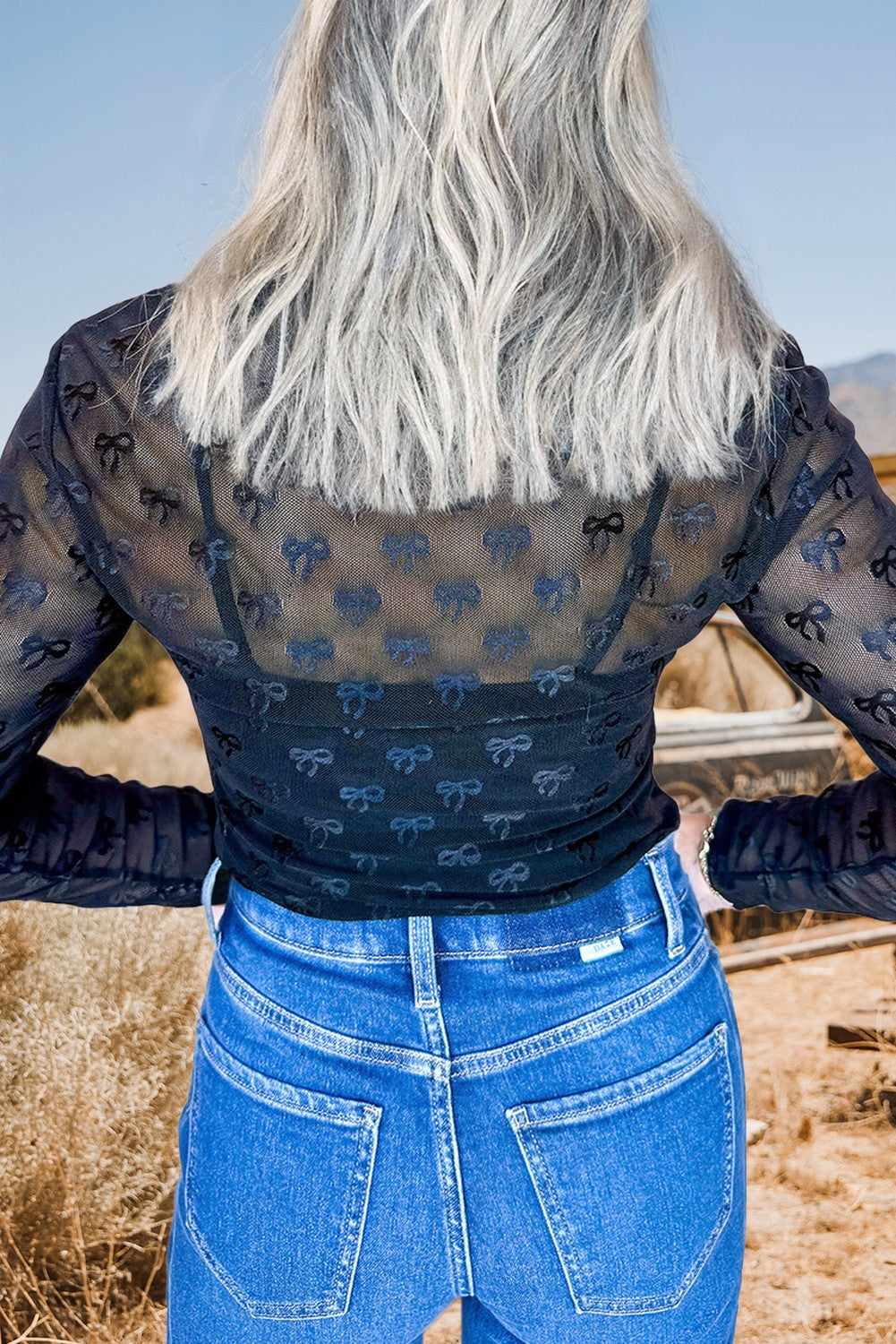 Mesh Black Bow Pattern Long Sleeve Top